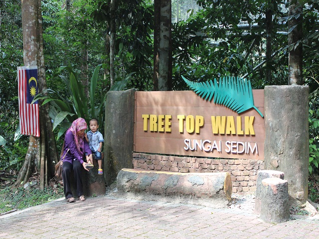 penulis di tree top walk