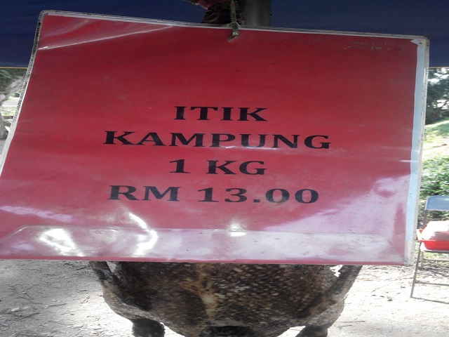 harga